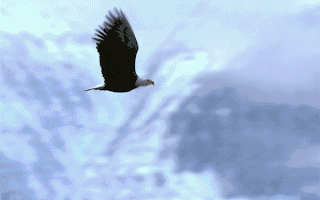 【企业动态】浙江华业新增1件行政处罚被罚款51万元